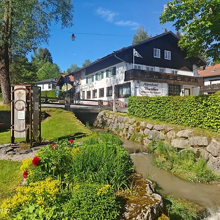 Alpen Hotel Martin-3