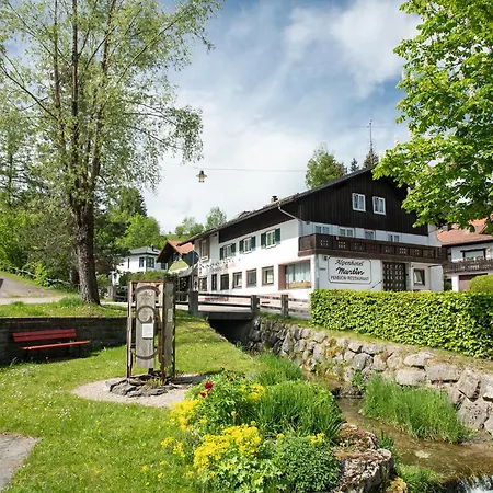 Alpen Hotel Martin-2